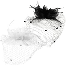 6St Fascinator Haarclip Met Sluier En Multikleur