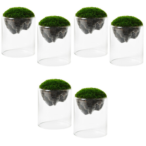 6Pièces Fioles En Durable Pour Décor Mousse Bricolage 2
