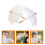 8Stk -Schirm Hochzeit Holzgriff Deko 7