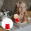 6Ud Infantil De Gumballs Plástico Para Casa 6