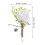 8Stk Hochzeitsanstecker Weiß Rose Anzug 11