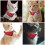 8Ud Collar Adorable Para Con Tela Transpirable 5