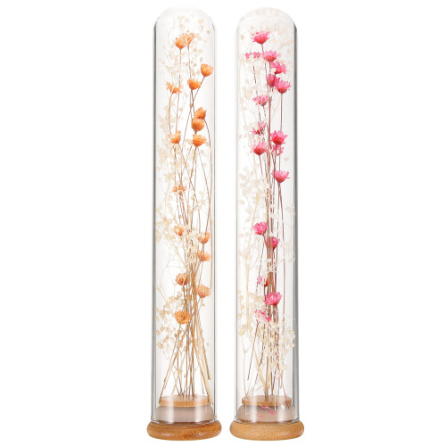 10Pz Bouquet Secchi in Vaso Per Decorazioni 1
