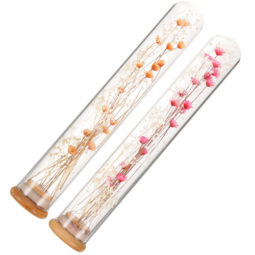10Pz Bouquet Secchi in Vaso Per Decorazioni 2