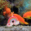 3Pcs Durable Soft Floating Fish Tank Ornaments Small Aquarium Decor 11
