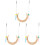 3Pz Uccelli in Parrot Swing Resistente 4