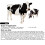 Accurate Cow Pregnancy Testing Paper - 10Pcs Disposable Set 8