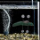 1Conjunto Decoração Com Plataforma Para E Répteis 7