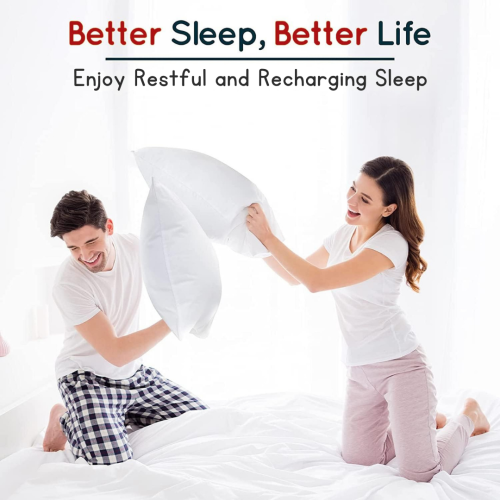 Pillow Protector Waterproof Bug Proof Zip Cover 2