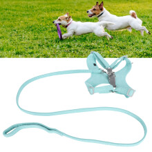Mint Green XXS Dog Harness and Leash Set with Reflective Trim