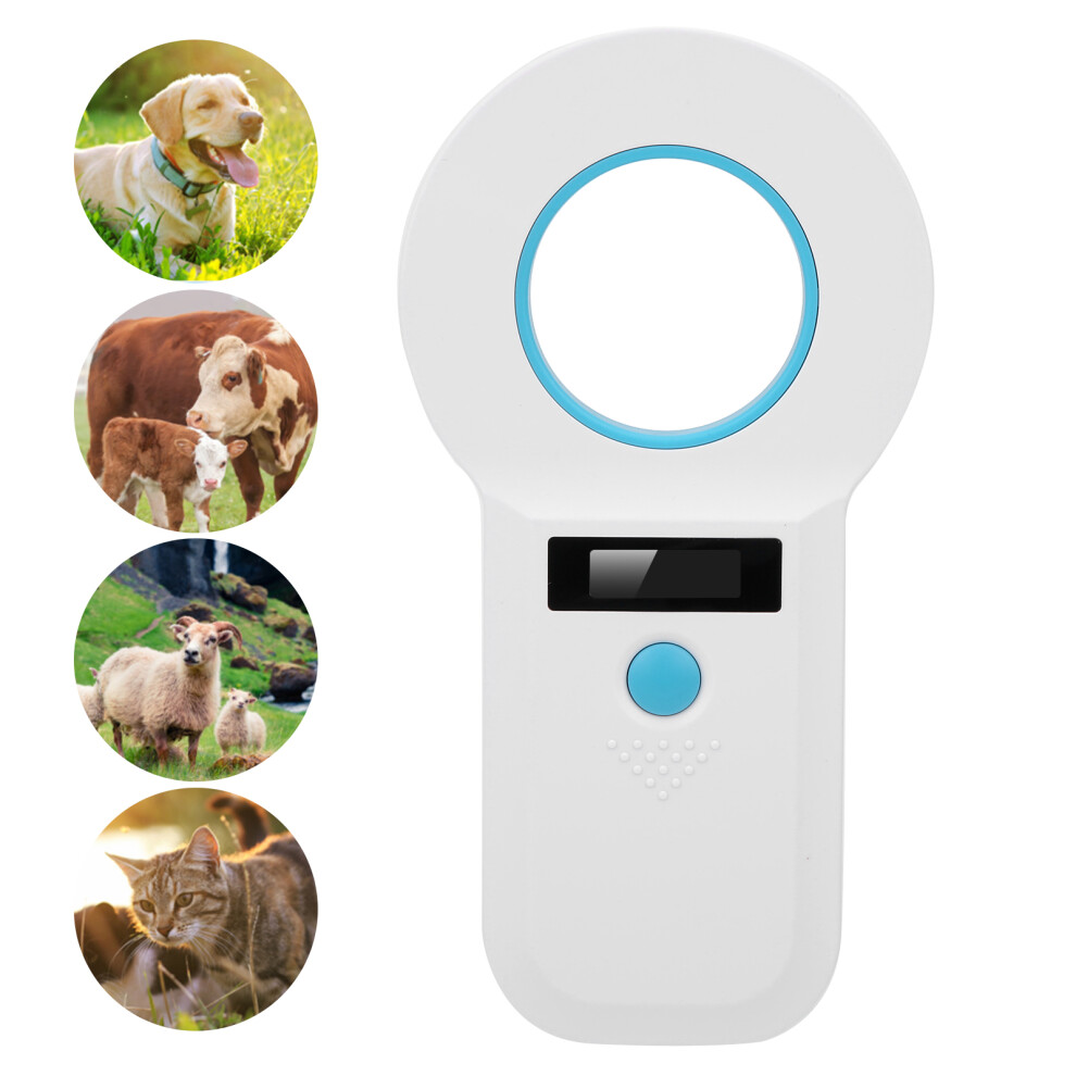 4K Ultra Hd Action Camera With Waterproof Housing 128Gb Sd Card White 9401359952643