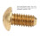 50Pcs M4 x 8mm Copper Hex Socket Screws Half Round Head Fasteners Hardware 5