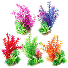15 Wasserpflanzen Für Aquarium Und Fischbecken