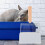 Set Metaal Kattenbakzeef Met Handvat Katbenodigdheden 9