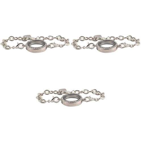 3 Magnetische Crystal Memory Locket Armband Charms ( ) 2