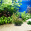 1 Kunstmatige Doodhout Watergras Aquariumdecor 11