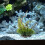 1 Kunstmatige Doodhout Watergras Aquariumdecor 10
