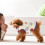 Pet Kleidung Süßes Weste Für Und 3