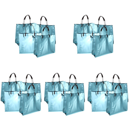 20 . Glänzende Wiederverwendbare Einkaufs- Geschenktaschen 1