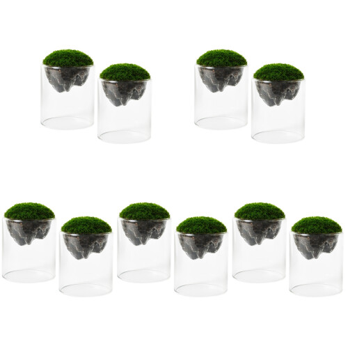 10 Moosflasche Landschaft Glasflasche 2
