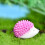 10Stk Figuren Harz Garten 10