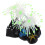 Decoración Luminosa De De Mar Para Acuario Artificial 11