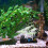 Decoración Luminosa De De Mar Para Acuario Artificial 5