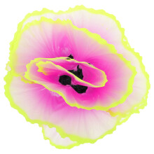 2 Fluorescerende Simulatieplant Aquarium