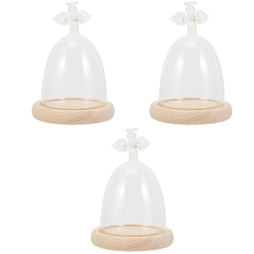 3Stk Display Dome Mit Holzunterteil 2