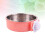 2Stk. Für Hundefutter (S Pink) 9