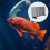 4 Sets Aquariumtrennwände Kunststoffgitter Eierkarton Mit Clips 6