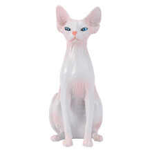 2 Simuliertes Haarloses Katzenmodell