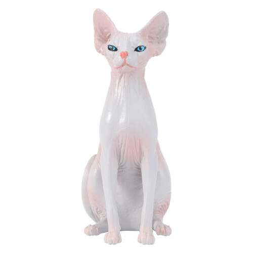 2 Simuliertes Haarloses Katzenmodell