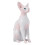 2 Simuliertes Haarloses Katzenmodell 9
