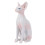 2 Simuliertes Haarloses Katzenmodell 11