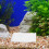 4Stk Filterstrümpfe Aus 150Mesh Für - Und Aquarien 5