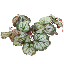Planta Artificial De Plástico Para Y Acuario