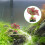Planta Artificial De Plástico Para Acuario Y De Peces 7
