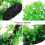 Artificiales Decorativas Para Acuario Y Pecera 8
