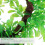 Artificiales Decorativas Para Acuario Y Pecera 10