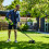 Greenworks 40V Brush Cutter 40cm - tool only 6