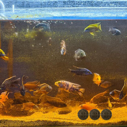100 Unidades 36Mm Para Acuario Pecera 2