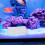 4Pièces Filtres Aquarium Filtration 7