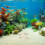 2 De Décoratif 250 G, De Pour Aquarium 7