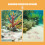 2 De Décoratif 250 G, De Pour Aquarium 9