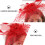 Women Fleurs Plumes Barrette Coiffe Accessoire Épingle Mariage 10