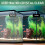 Aquarium Filter Media Pad Sponge Roll Floss For Fish Turtle Tank 11