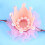Fascia Elastica In Con Rosa E Rifinitura Luccicante 6