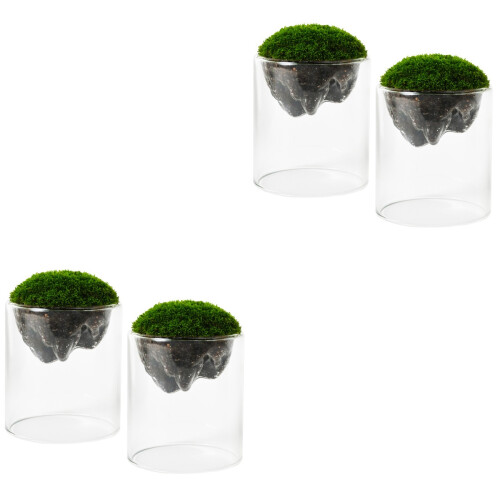 4 Pezzi Paesaggio In Miniatura Decorazione 2