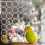 Appeso Per Cockatiel E Parrocchetto Accessorio Per Uccelli 3